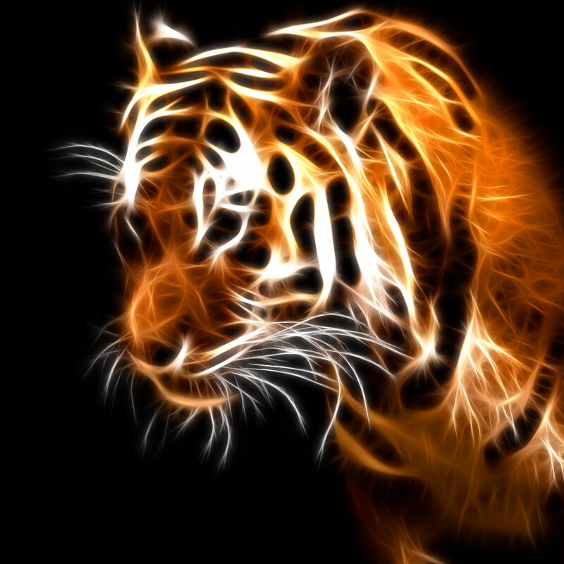 fiery tiger head art
