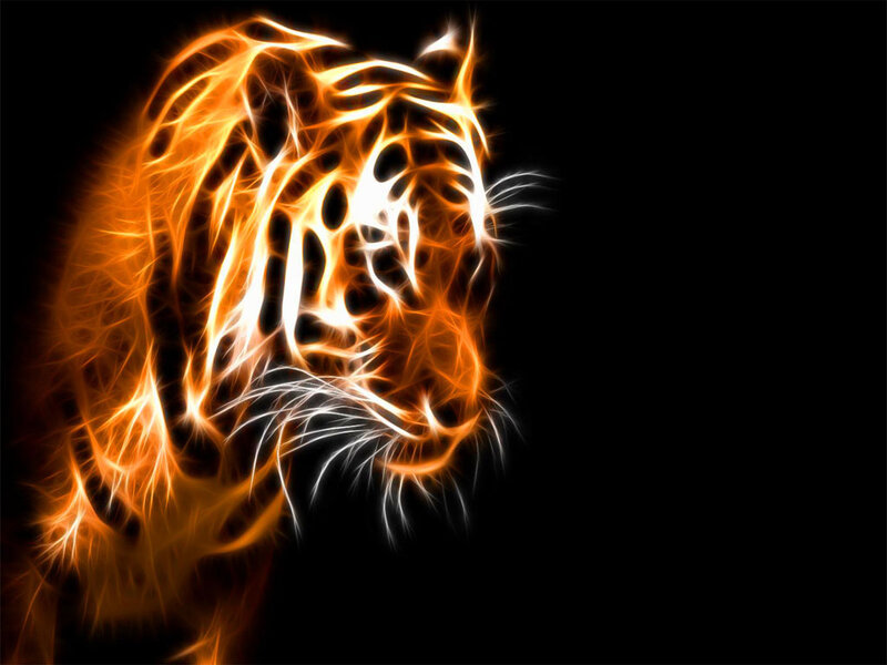 fiery tiger head