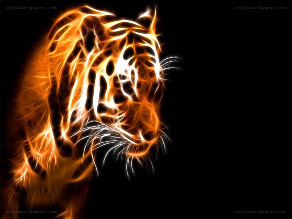 fiery tiger head