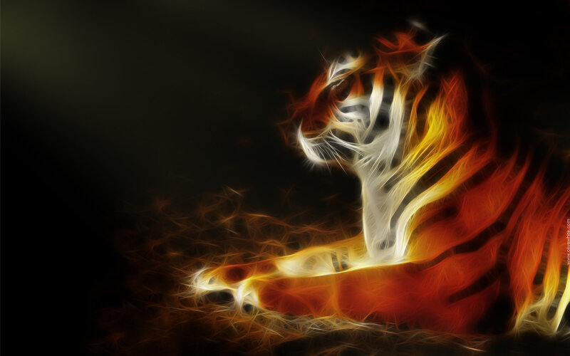Fiery tiger in motion