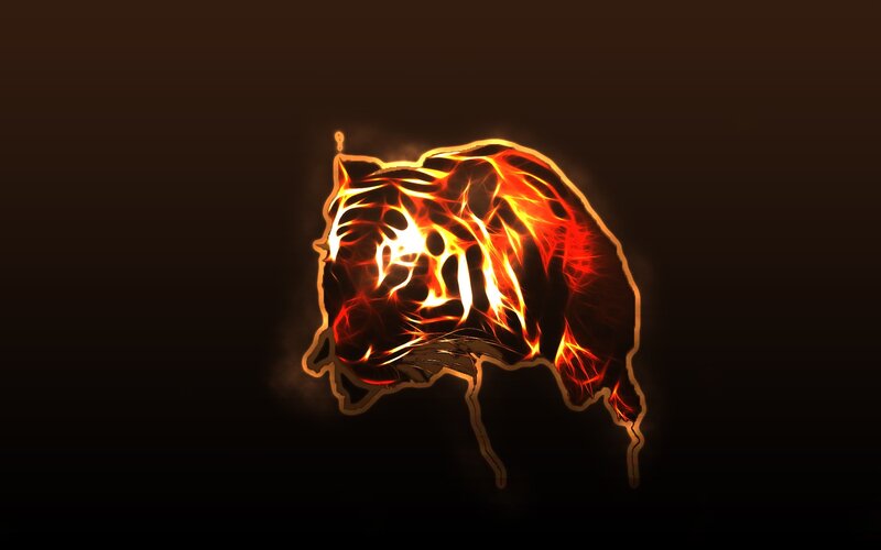 fiery tiger silhouette