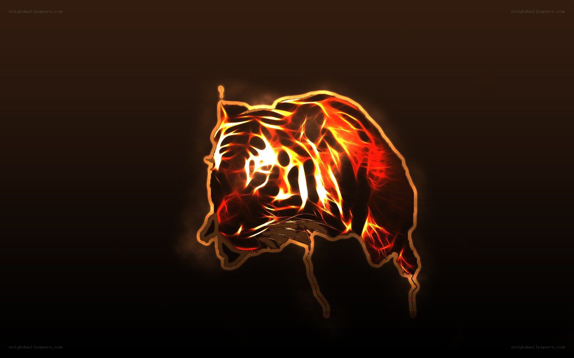 fiery tiger silhouette