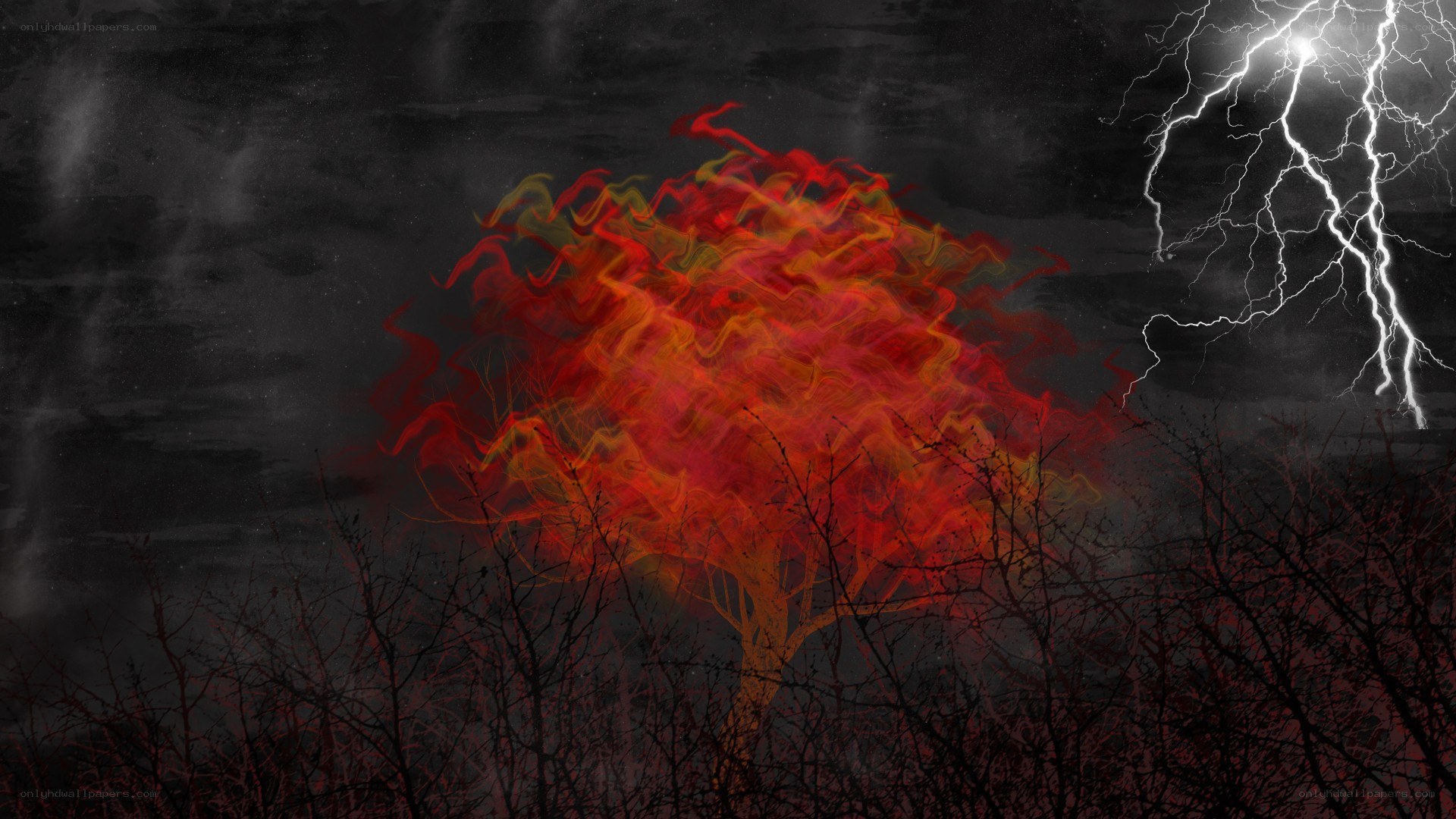 Fiery tree in stormy night