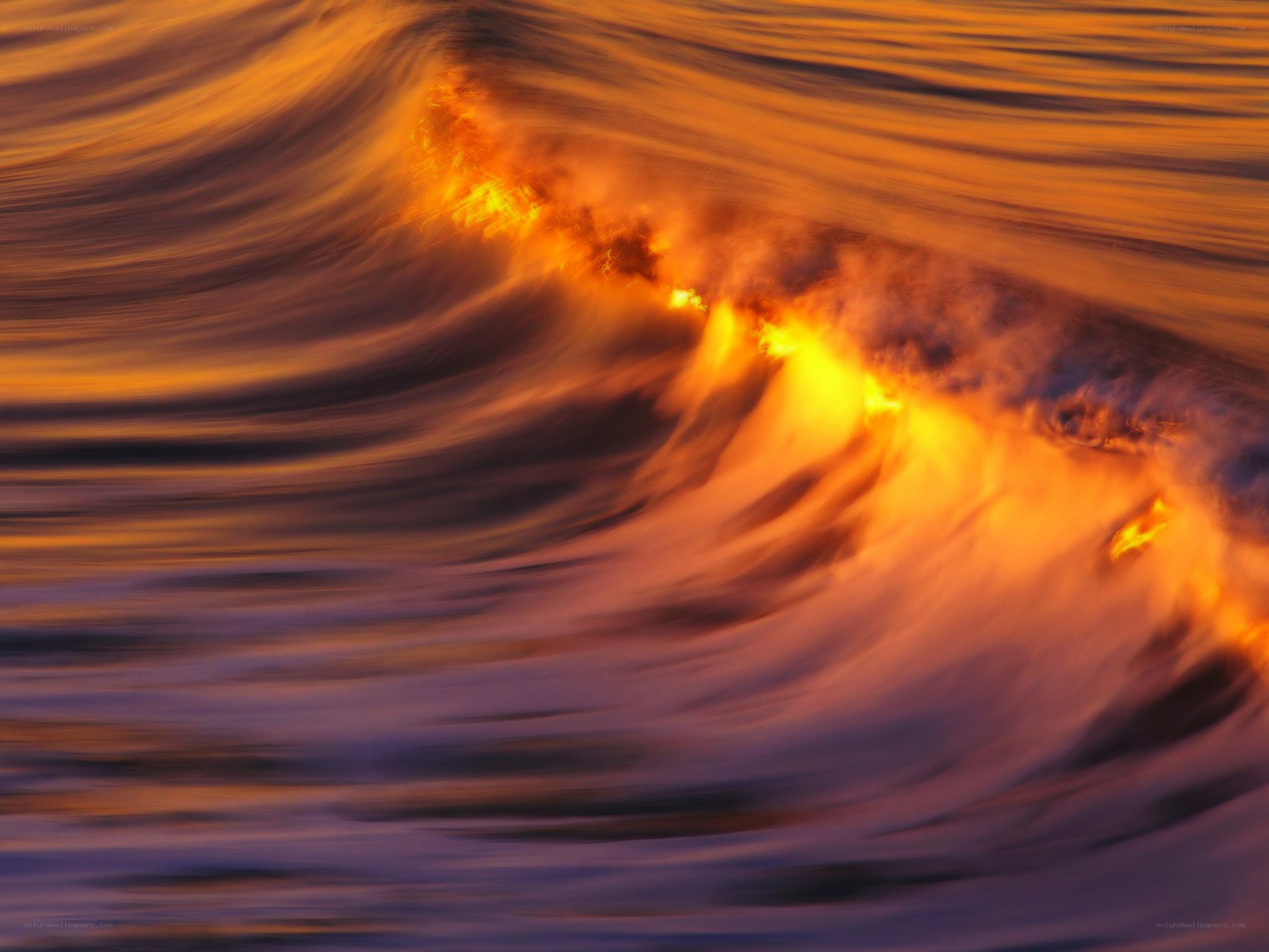 Fiery wave at sunset