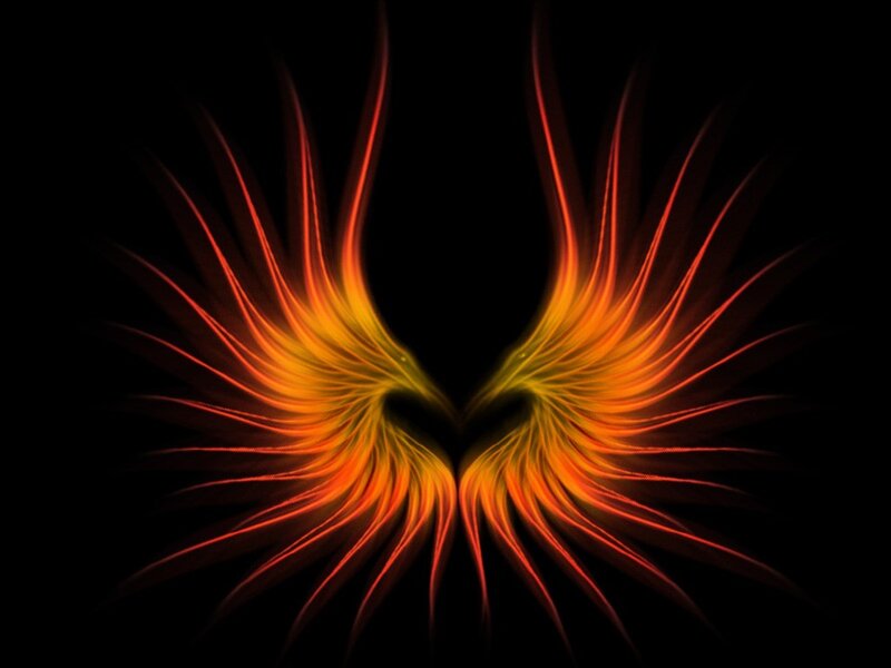 Fiery Wings
