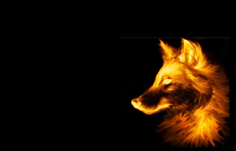 fiery wolf silhouette