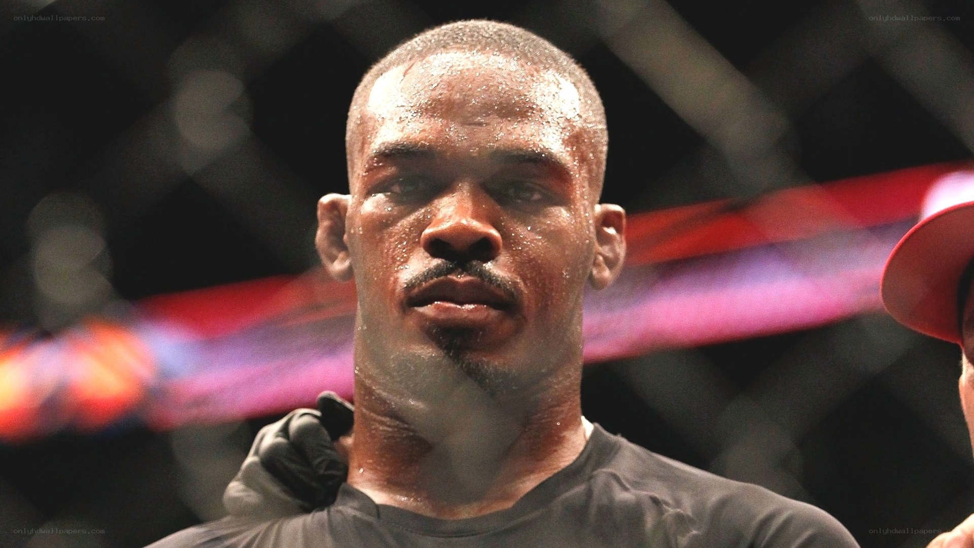 fighter in octagon after match