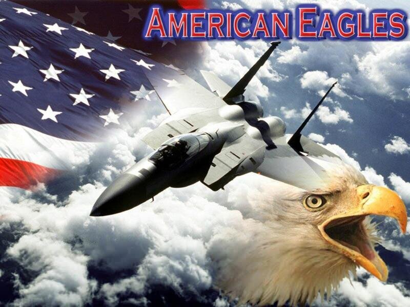Fighter Jet and Bald Eagle