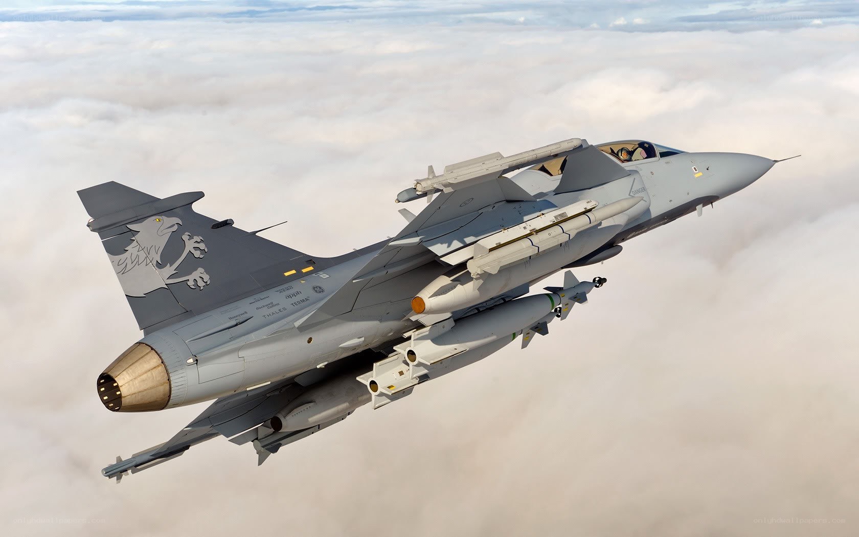 fighter jet in flight