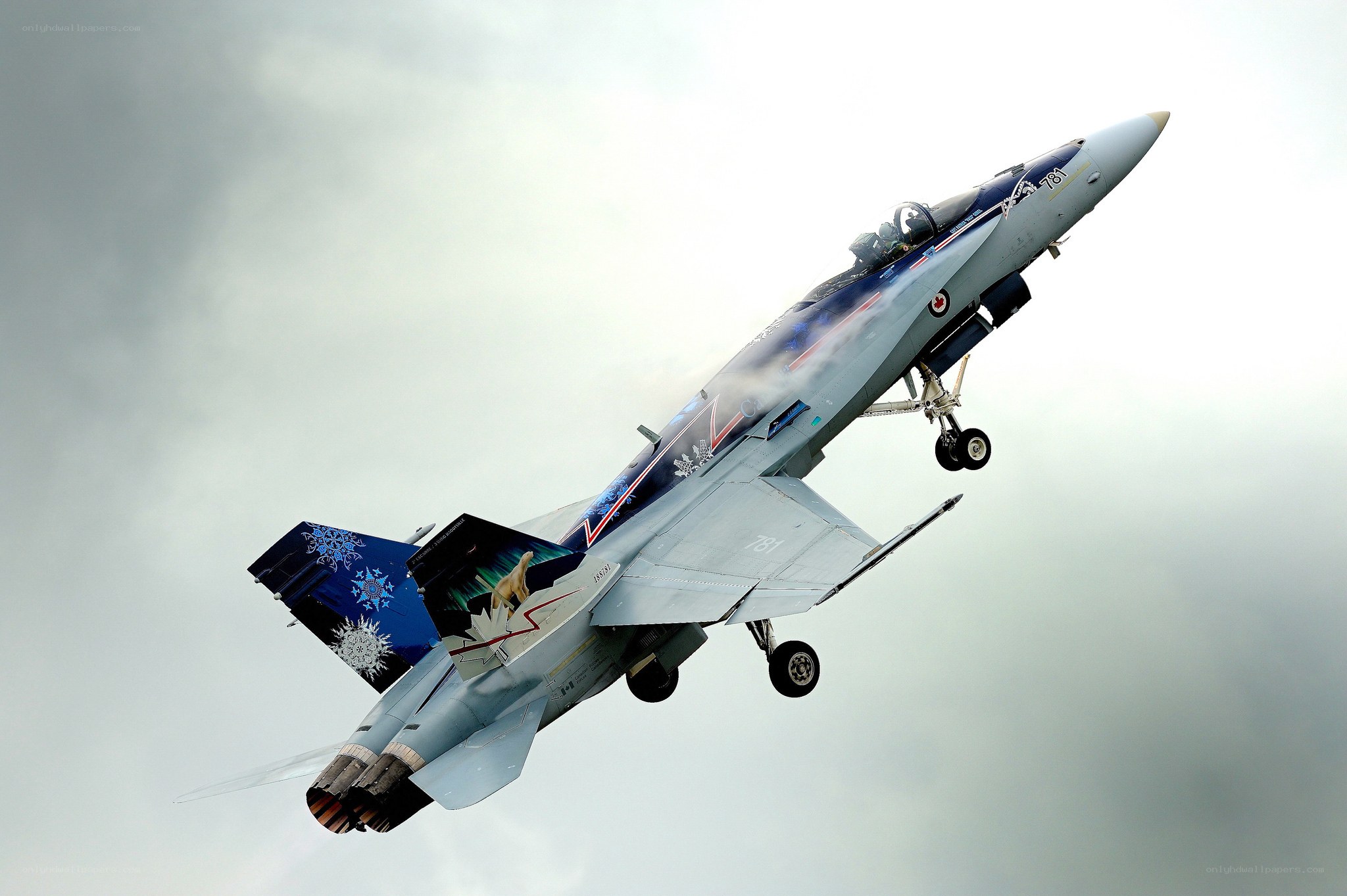 fighter jet in flight