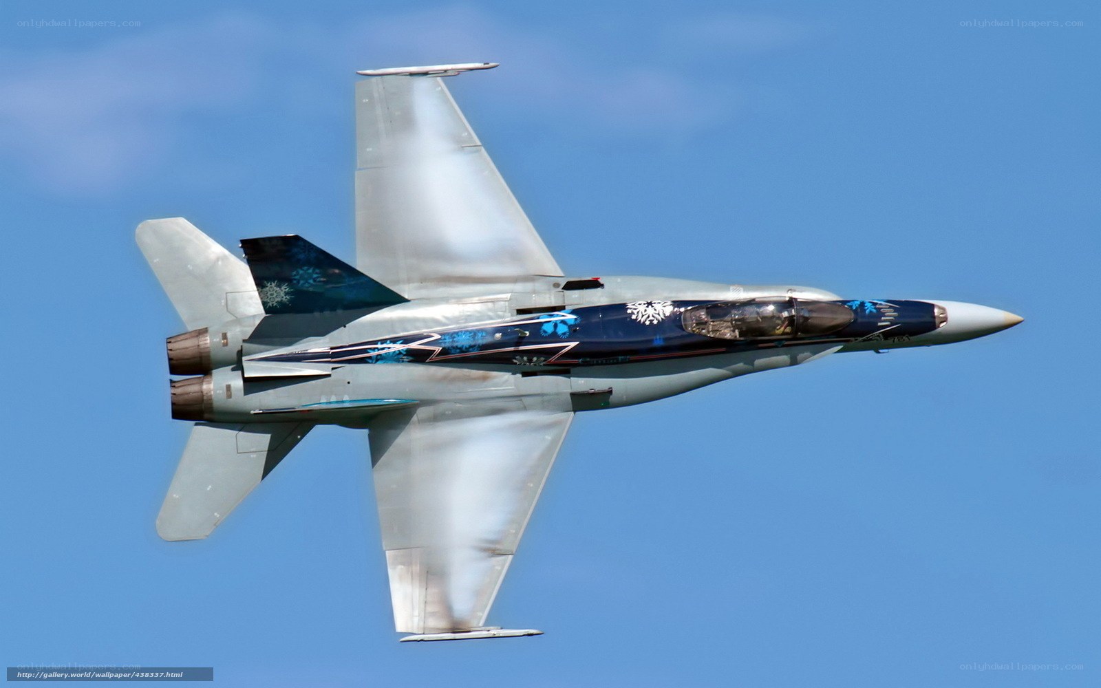 fighter jet in flight
