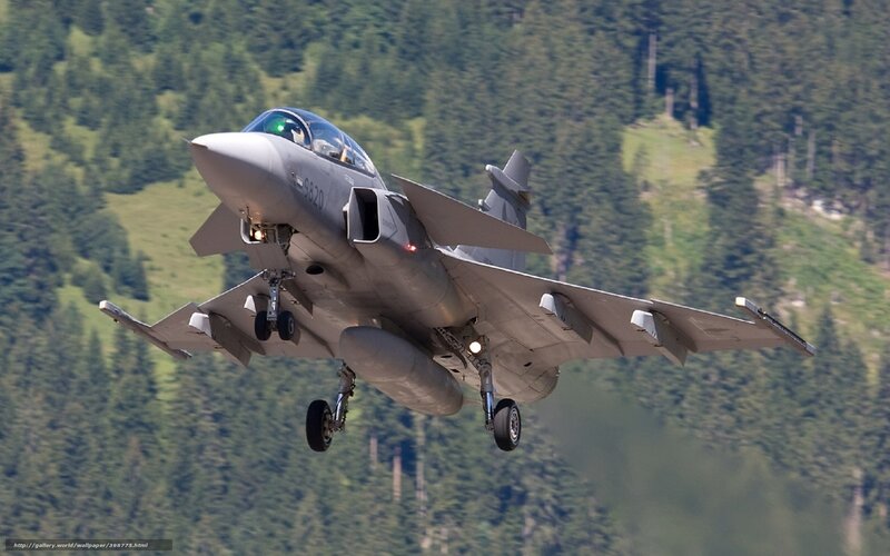 Fighter Jet in Flight — Gray, Dynamic, Afternoon, Photograph, Mountain, Forest