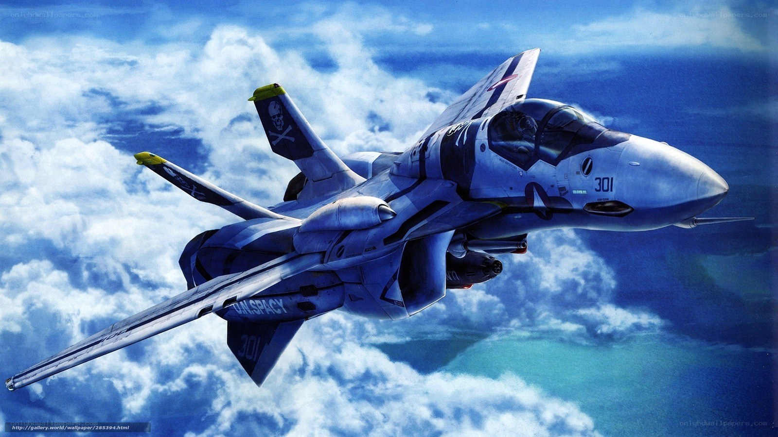 Fighter jet in sky