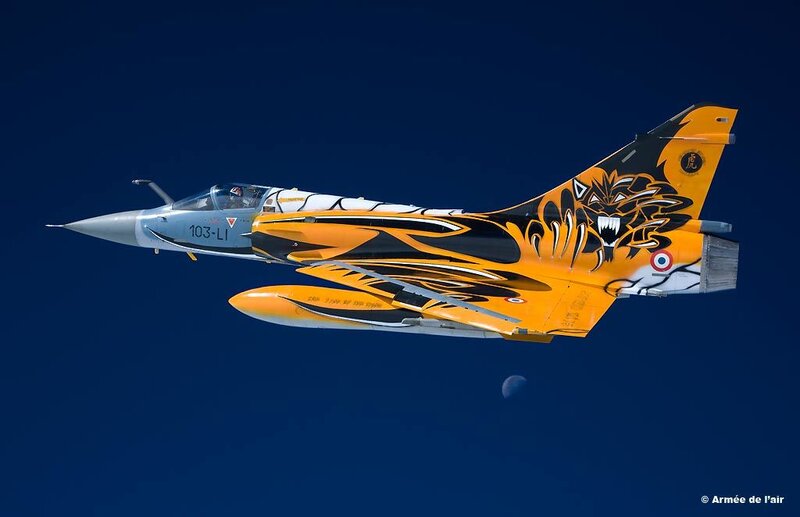 Fighter Jet with Tiger Design