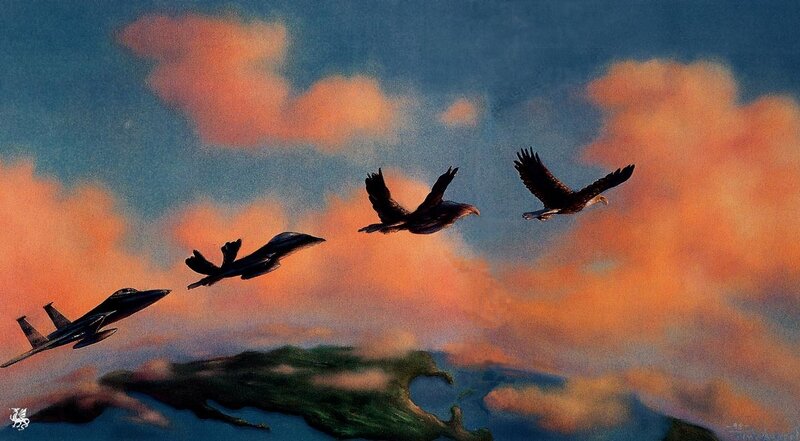 Fighter Jets and Eagles
