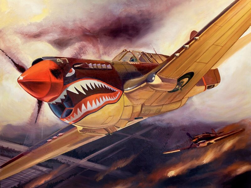 Fighter Plane in Flight — Brown