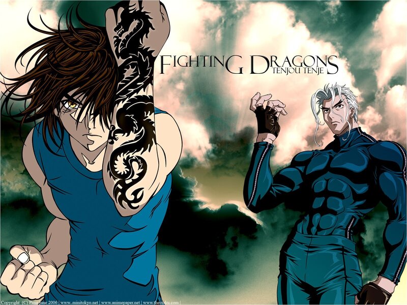 Fighting Dragons anime art
