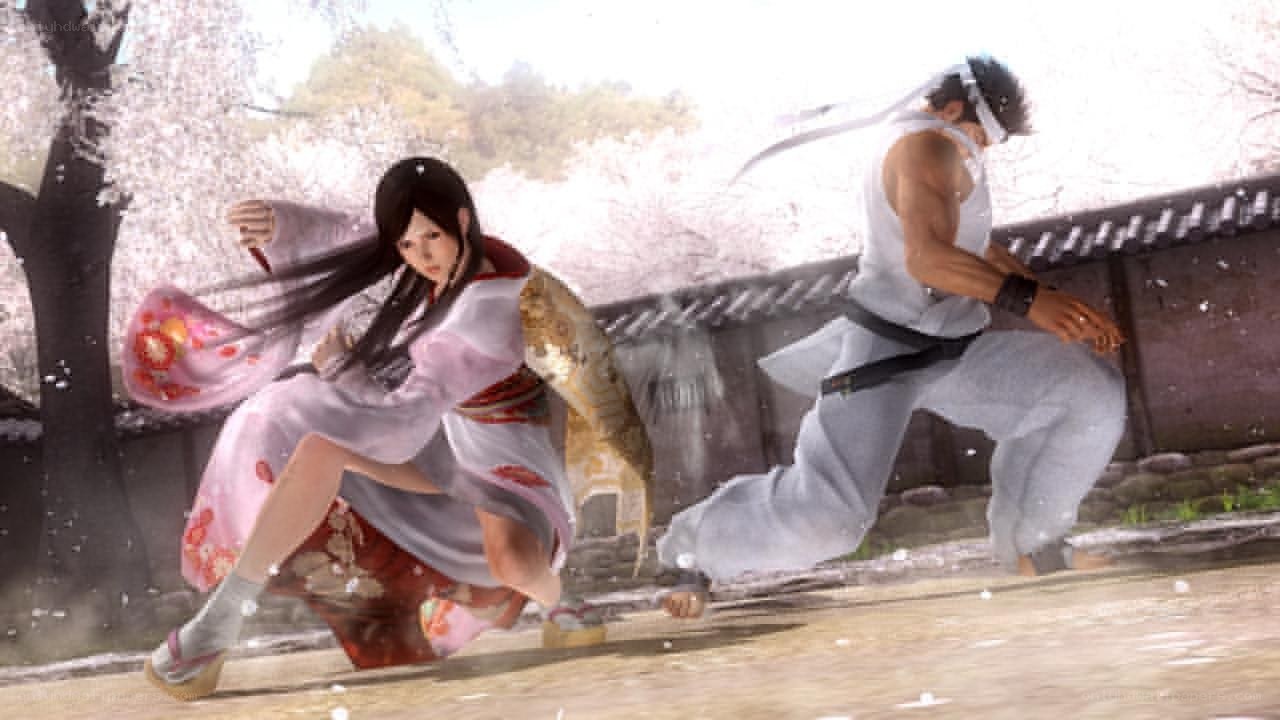 fighting game characters in action