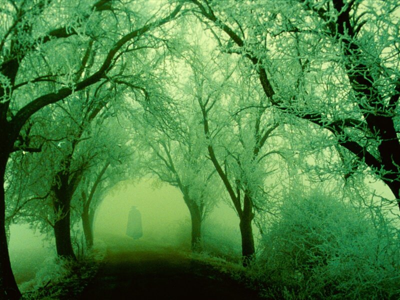 Figure in a Cloak — Green