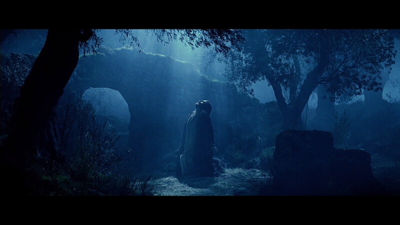 figure in a misty forest