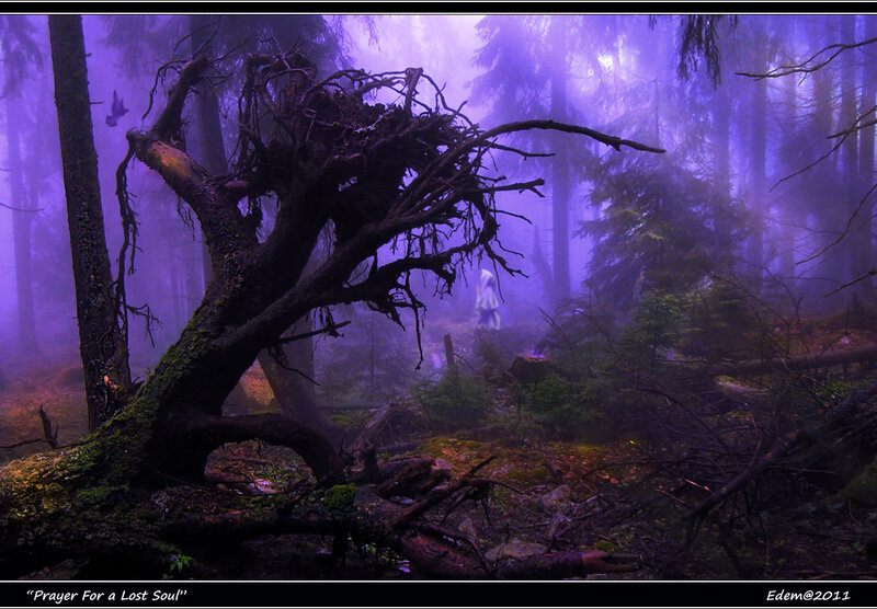 Figure in a Purple Forest