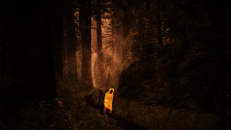 figure in dark forest
