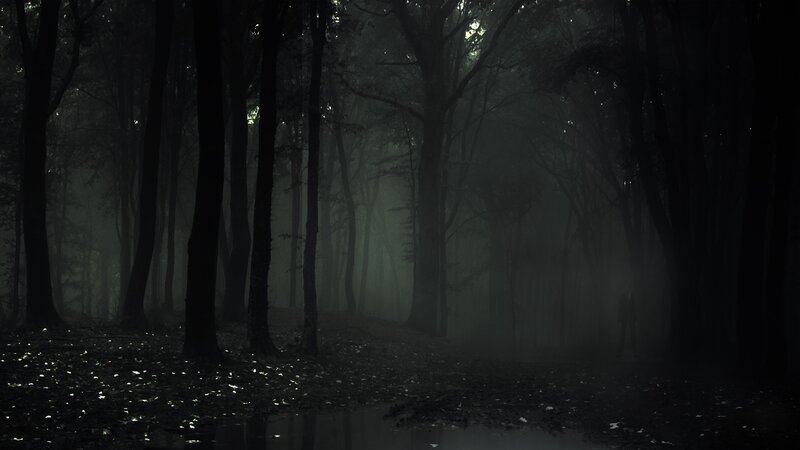 Figure in Dark Forest — Black, Night, Photograph