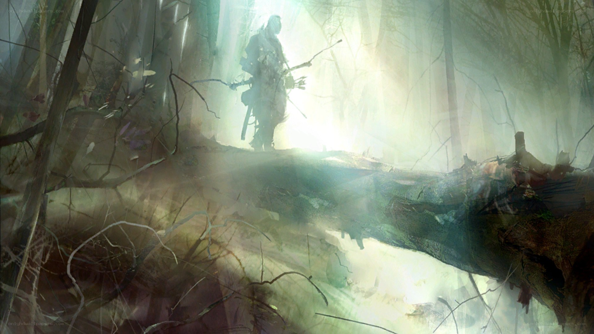 figure in misty forest