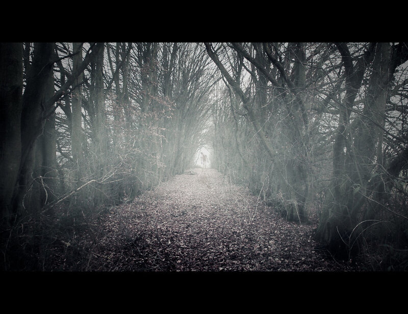 Figure in Misty Forest — Gray