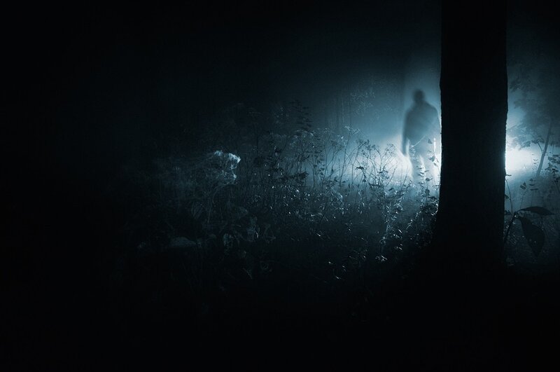 figure in misty forest