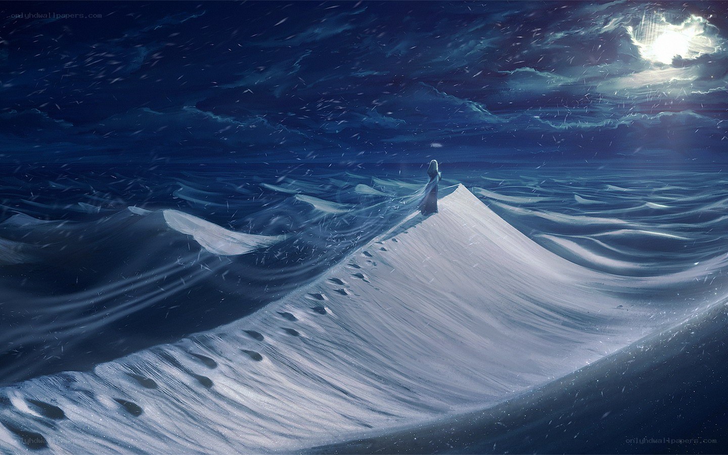 figure on a snowy wave