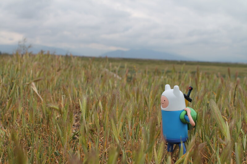 Figurine in a Field