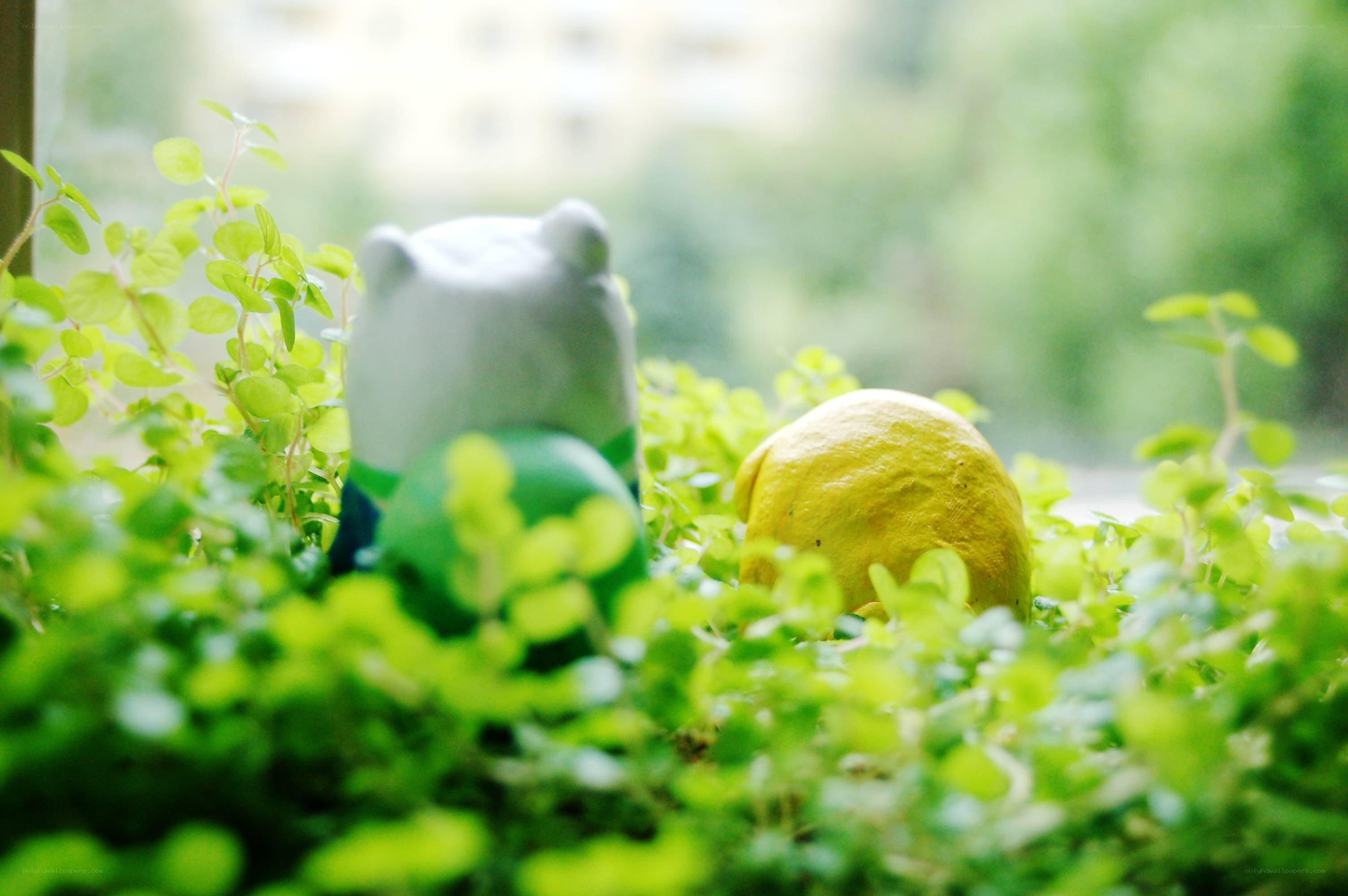 figurines in green plants