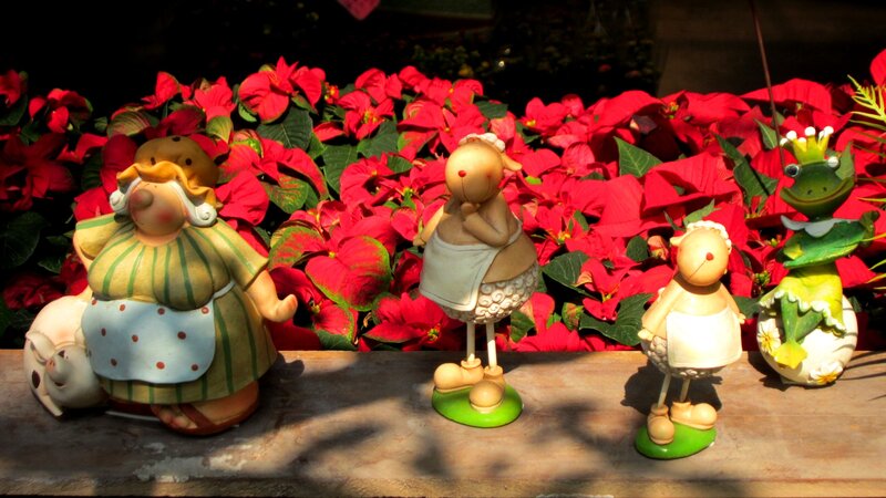 Figurines in Poinsettias