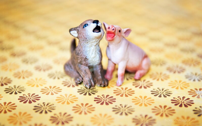figurines of wolf and pig