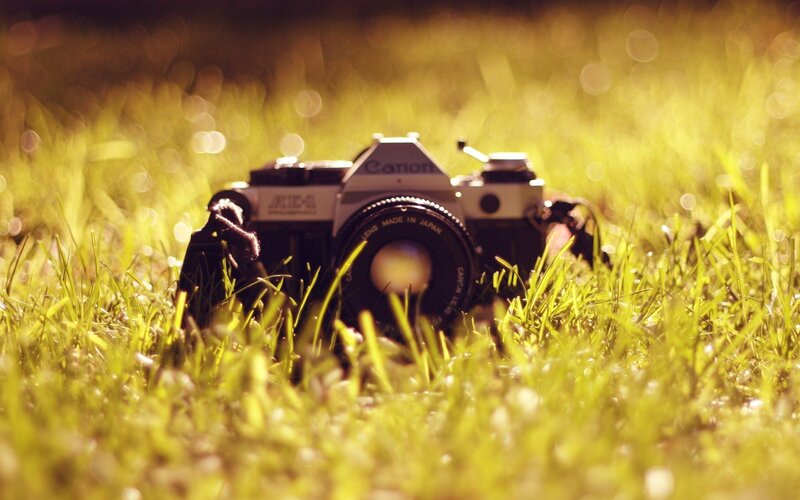 Film Camera in Grass