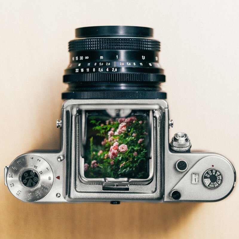 Film Camera with Flowers