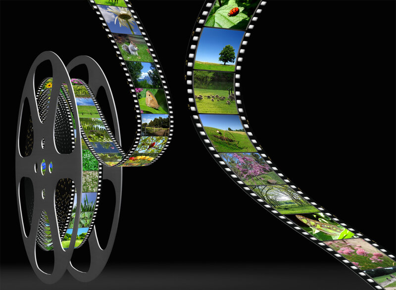 Film Reel with Nature Scenes