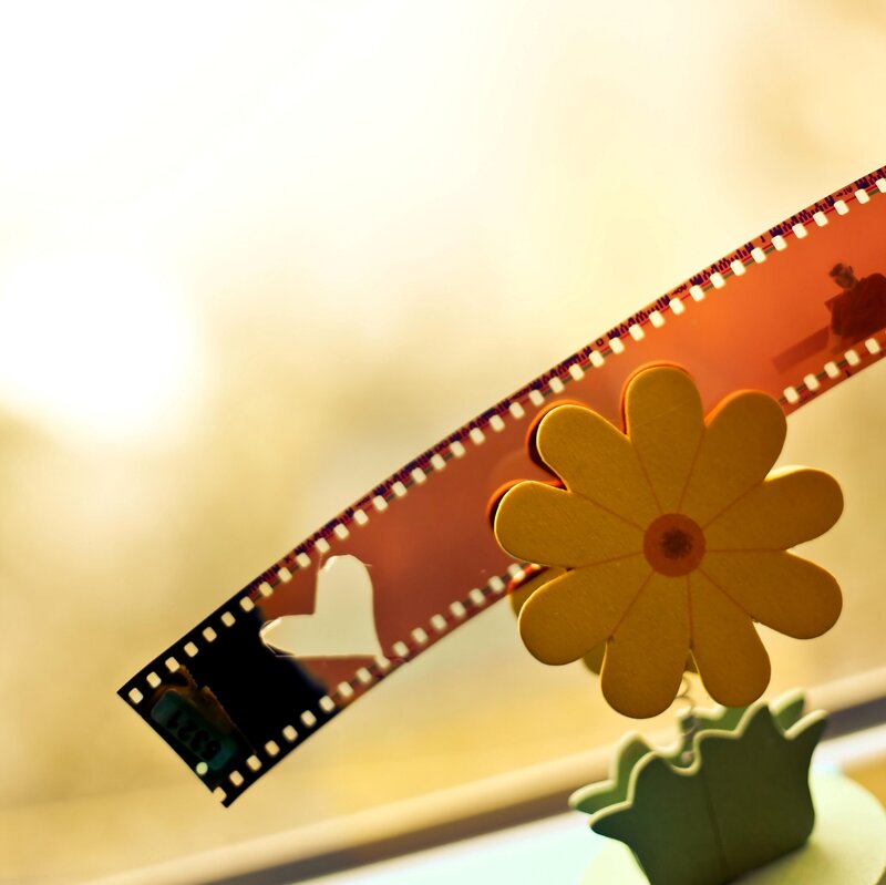 Film Strip with Flower