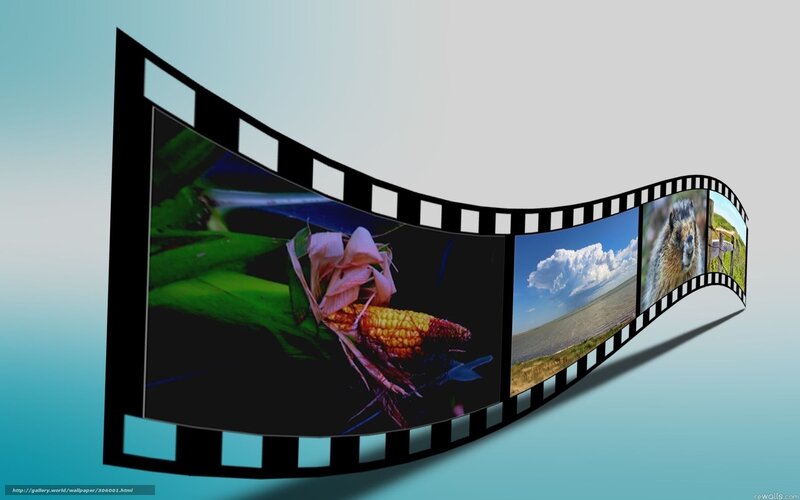 film strip with nature images