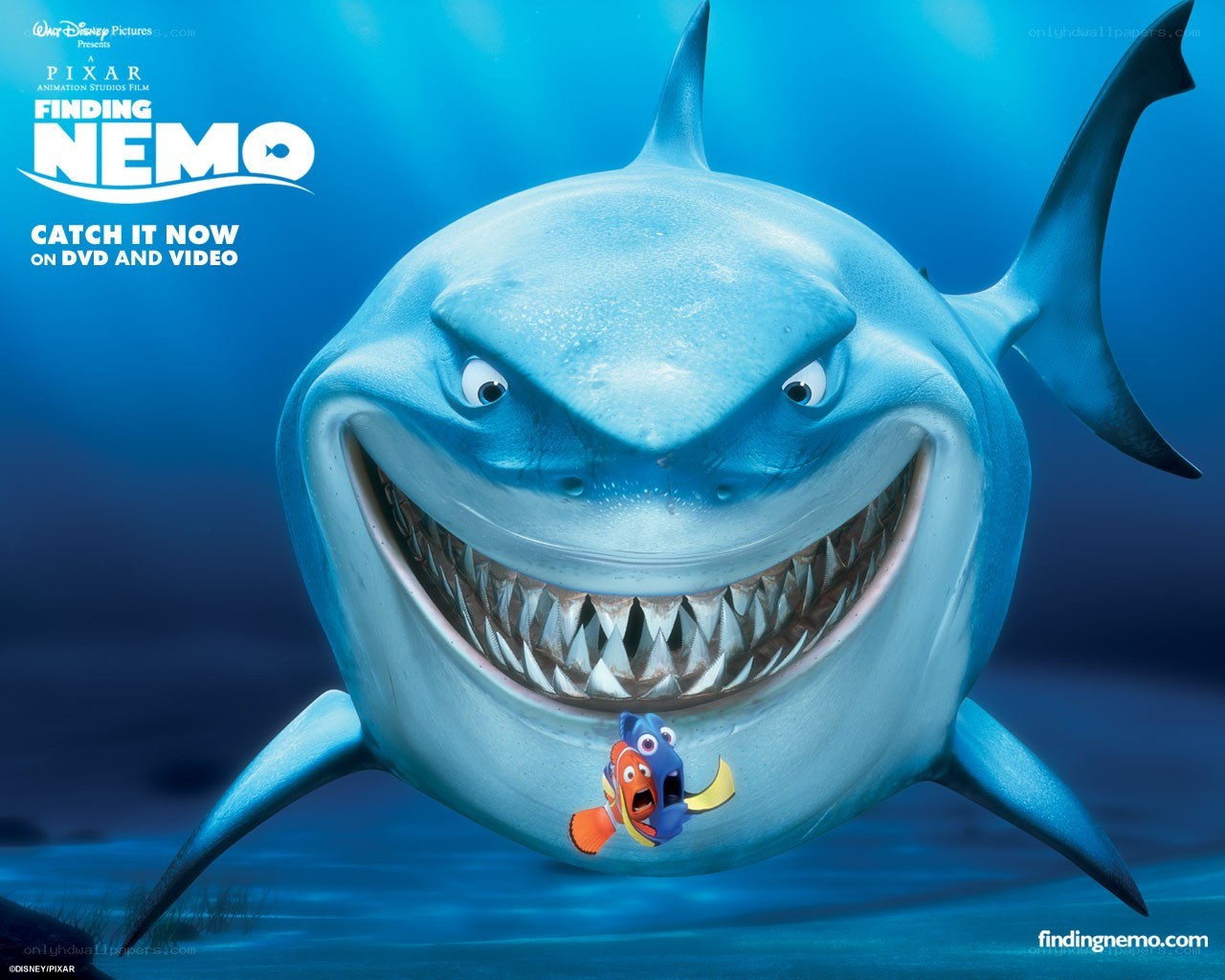 Finding Nemo movie poster
