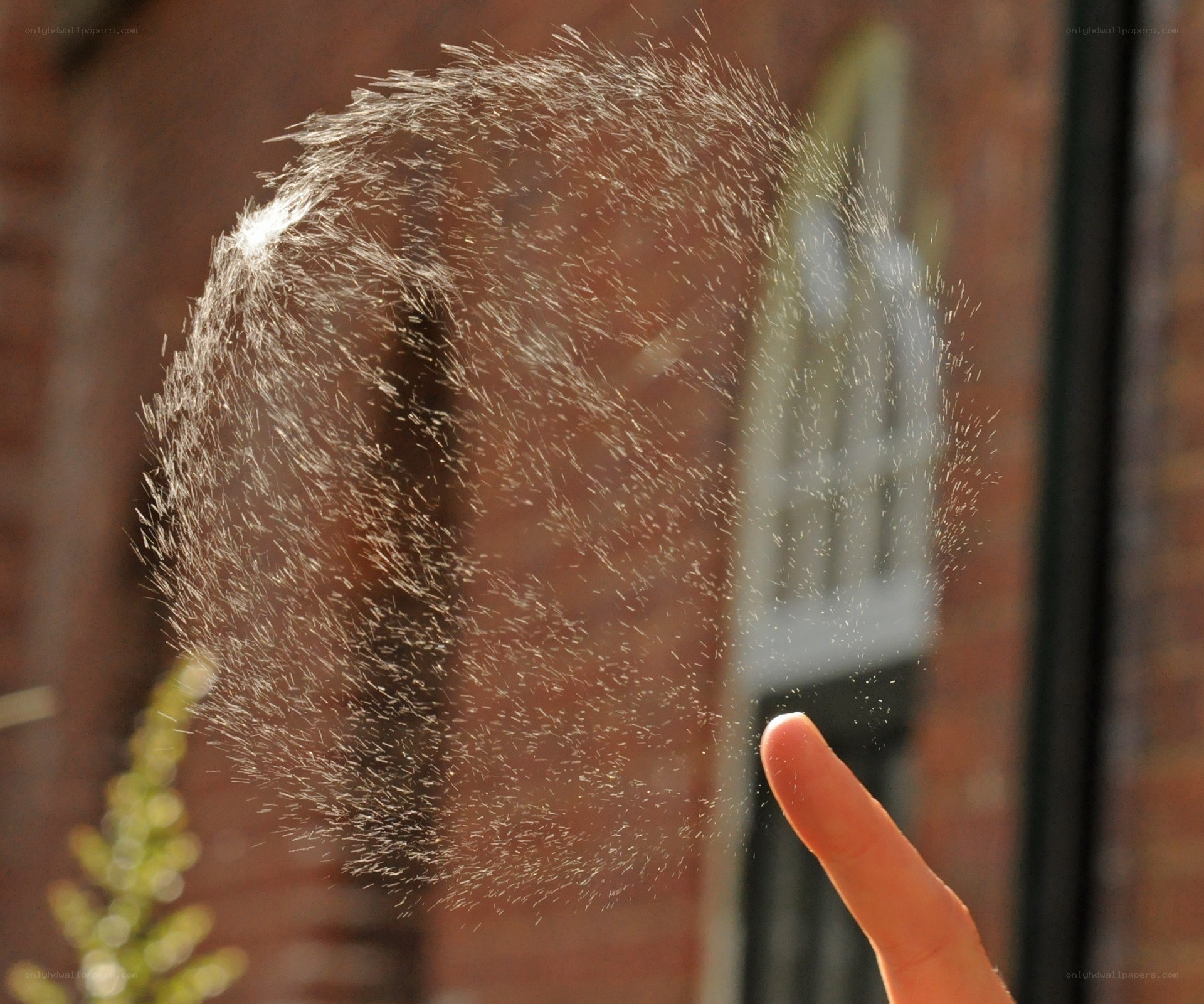 finger popping bubble