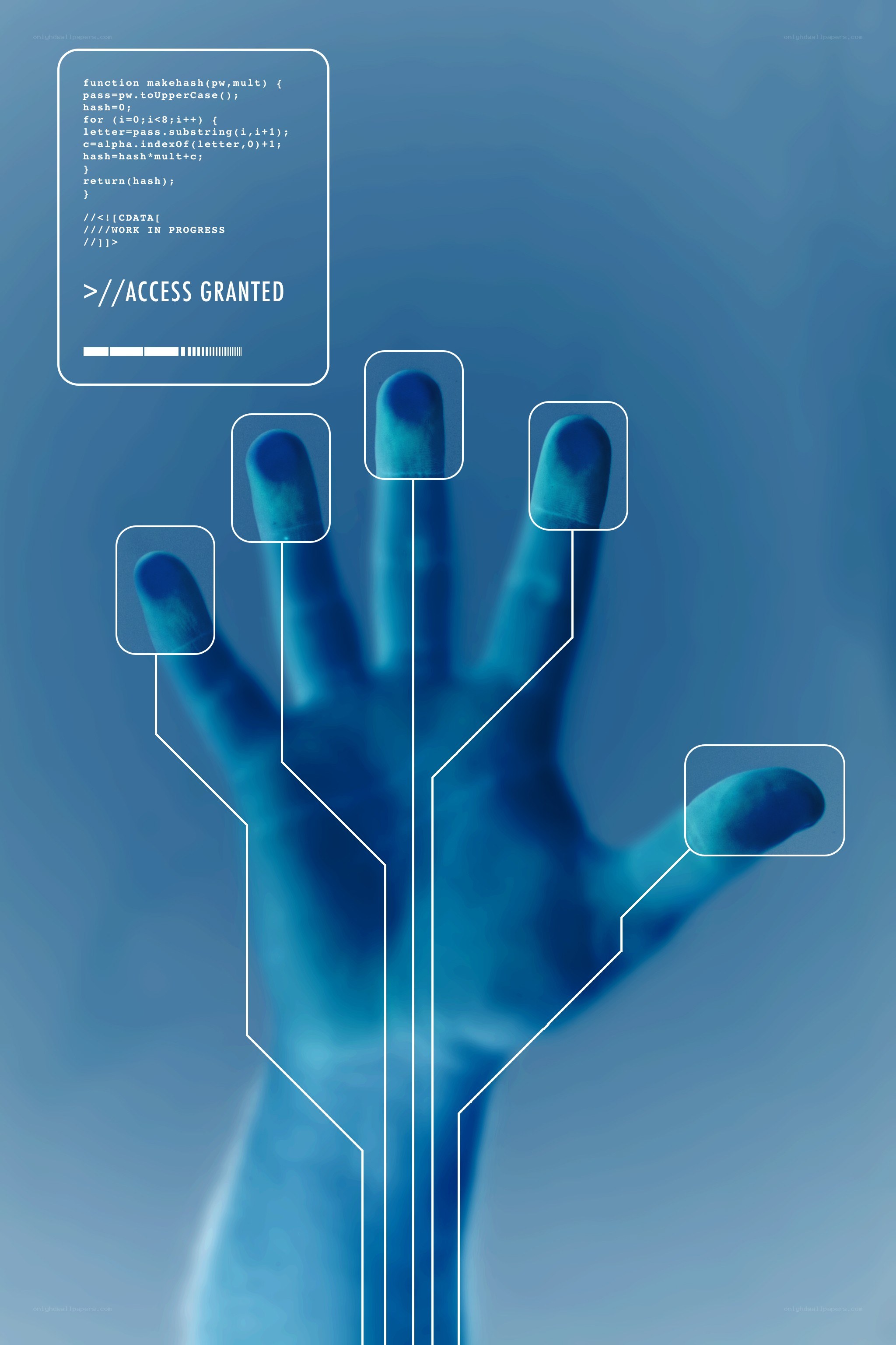 fingerprint authentication system