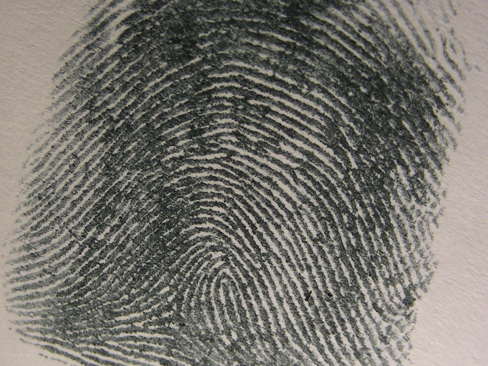 fingerprint on textured paper
