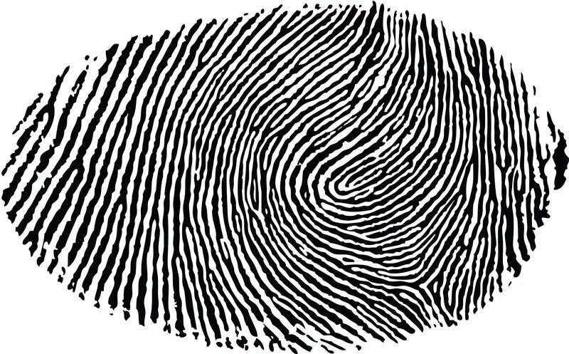 Fingerprint Pattern — Black