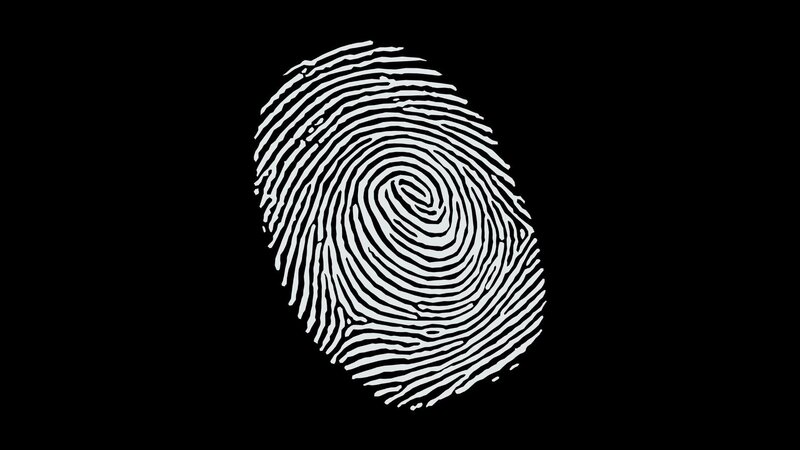 Fingerprint Pattern
