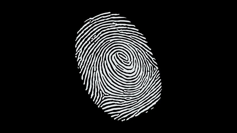 Fingerprint Pattern — White