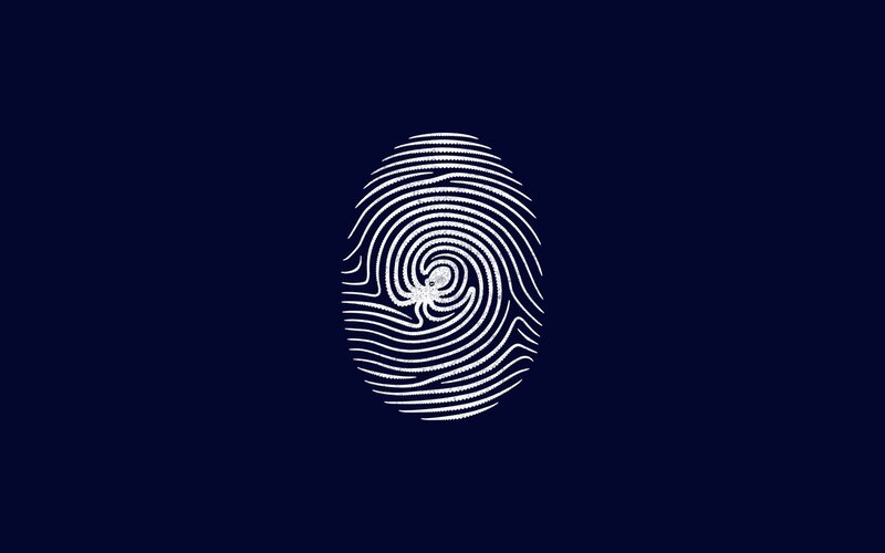fingerprint with octopus design