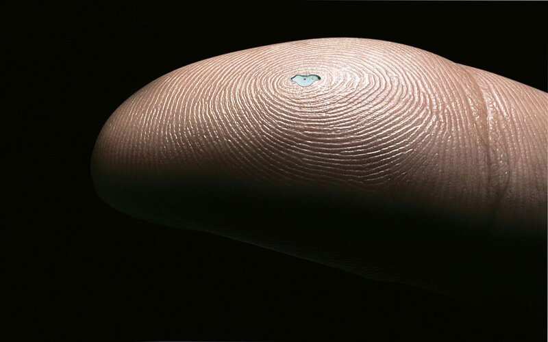 fingerprint with tiny object