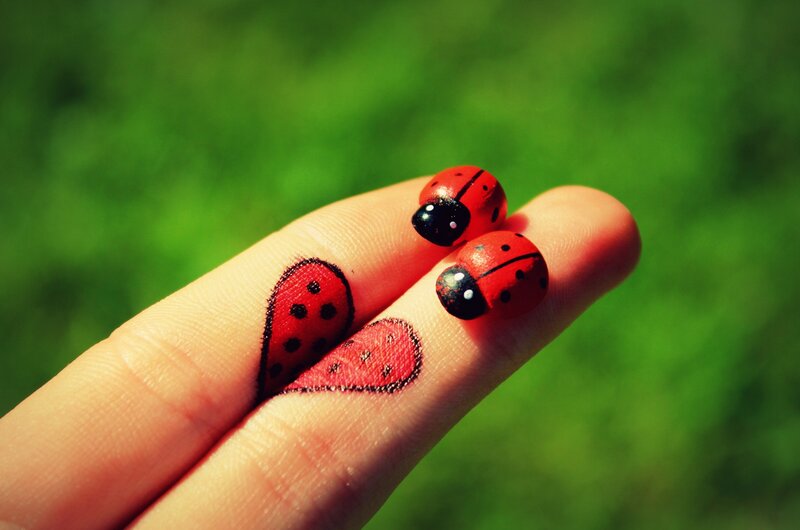 Fingers with Ladybug Art